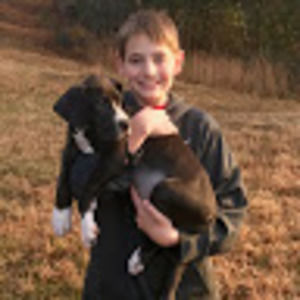 Meet your Posher, Henry